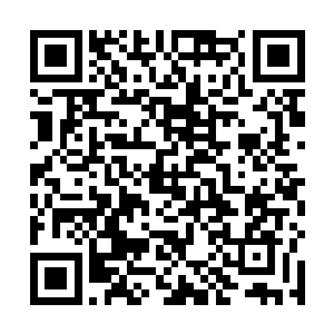 水牛偷懒不走或者不听话的乱拐弯要去吃坎上的青草时二维码生成
