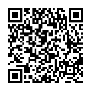 水至清无鱼这一点陆为民能当县委书记就不会不明白二维码生成