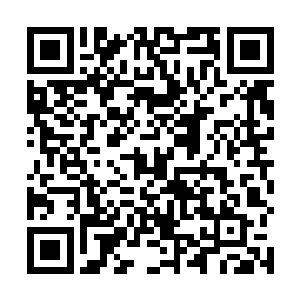 水菲菲何尝不想就此冲进房间去将北辰昊的脑袋砍下来二维码生成