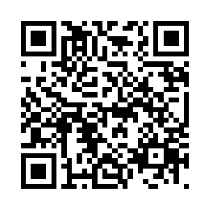 永恒之炎附着在了一截粗大的根须上二维码生成