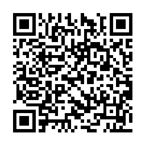 永远不要信任那些愚蠢短视且毫无诚信的人类君王二维码生成