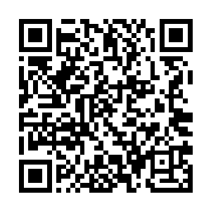 永远把它当成一个既天才又白痴的奴隶这是不可能的二维码生成
