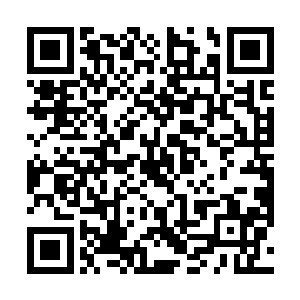 永远有一件事可以把我们拉到一条线上……那就是拼命二维码生成
