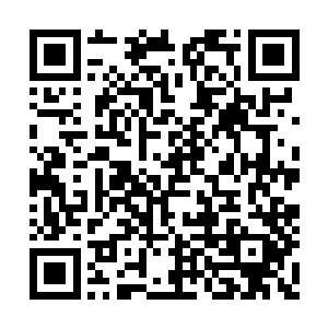 求求你不要这样对我……你让我做什么都行……二维码生成