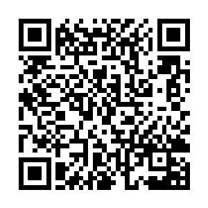 求生技能教他唯一的动作就是扔下枪支试图护住脖子二维码生成