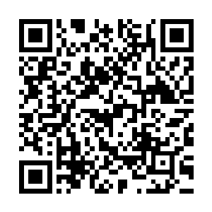 汇集在这处洼地中的玄黄灵液便尽数落入了剑尘手中二维码生成