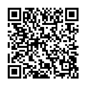 汇集在这里的所有雪宗始境强者纷纷是松了口气二维码生成