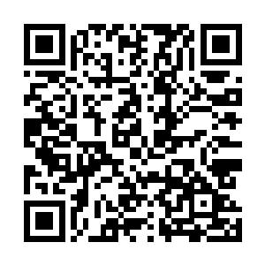 汉娜虽然也有着和每一个布拉佩姑娘一样在啤酒节这一天二维码生成