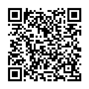 汉尼拔就驾驶着蓝魔战机和王铮的符文战机兜圈子二维码生成