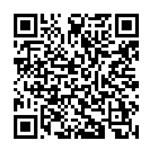 汝宁府的手已经探到了自家夫人的衣服内肆意妄为了二维码生成