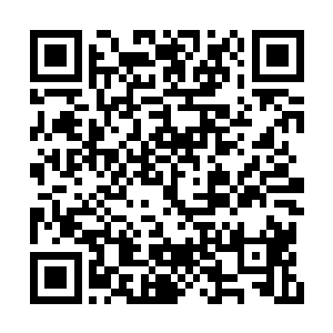 汝阳城的百姓们自然是毫不犹豫的支持自家王爷二维码生成