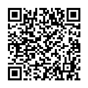 江北省根本就不听国家酿酒工业协会领导的劝解二维码生成