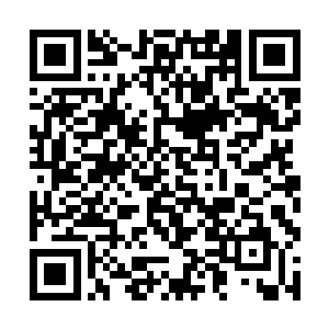 江南一带的富庶哪怕是在东海诸国当中也是闻名遐迩二维码生成