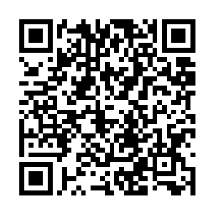 江南省委书记陈浩然就要调到山南省担任省委书记二维码生成