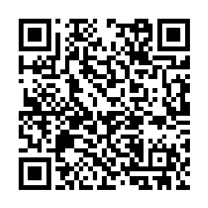 江南雨在杜平县委招待所亲自设宴给他们接风洗尘二维码生成