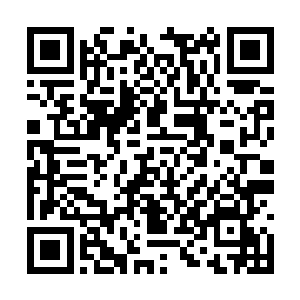 江大娘才没好气地对犹伸着脖子向后张望的儿子道二维码生成