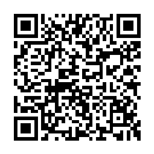 江天一脸凝重的看着叶然脖颈处浮现的黑色纹路二维码生成