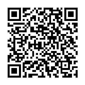 江寒楼和冷血君都因为受不了天天不断的来访之客二维码生成