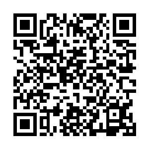 江少游也准备先看一看这堆宝藏里面到底都有些什么东西二维码生成