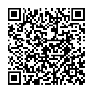 江少游刚才好不容易催眠的那十几匹狼就已经全部被别的饿狼给灭掉了二维码生成