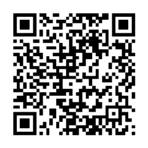 江少游刚才潜入海底总共也只用了十几分钟的时间而已二维码生成