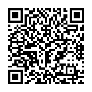 江少游用一个马长宇的护照登上了从下海到纽盛顿的国际航班二维码生成