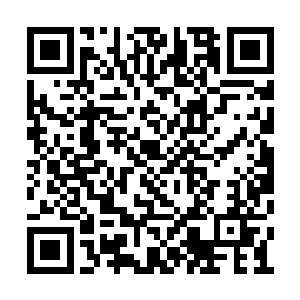 江少游见雷克斯等五个人都已经把筹码准备好了二维码生成