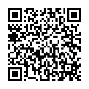 江帆一眼就认出那老者就是在金鲨岛上密室里看到的神秘老祖二维码生成