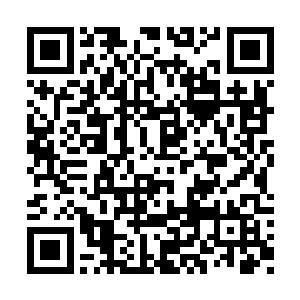 江帆也再次进入领悟压缩出一个静止微型时空场二维码生成