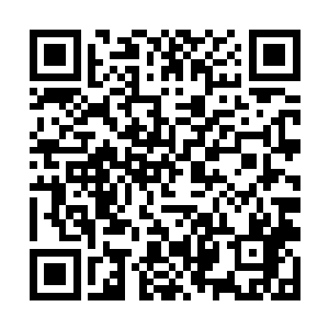 江帆从怀里摸出几块玉花石朝着入口的旁边扔了过去二维码生成