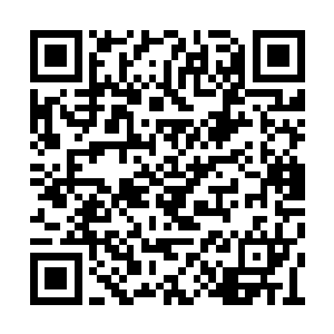 江帆再次对着诸葛兰馨的樱桃小嘴亲了下去……二维码生成