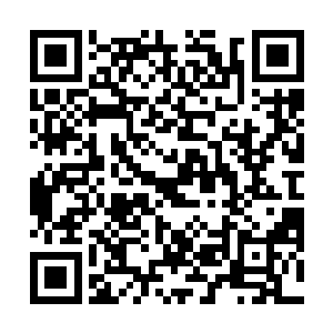 江帆双目瞄了瞄两三米之隔的毛三驱驾着的符兽车横辕二维码生成