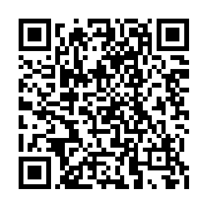 江帆和嫦娥仙子看到这个庞然大物不禁惊呼起来二维码生成