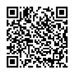 江帆和纳甲土尸回到了贝妮雅女王隐藏的树林之中二维码生成