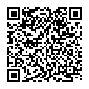 江帆在神山族呆了一个多月后才带着范冰心离开神山族回到神风城神丹阁二维码生成