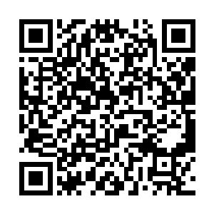 江帆地周围几十里范围的地下数百米透视了一遍奇道二维码生成