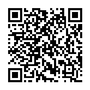 江帆就是胆子再大也不敢当着易傲风的面和易盈枫胡来二维码生成