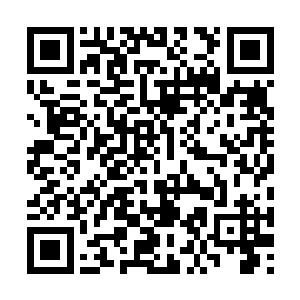 江帆想到了利用五行元素来对它们的身体进行改造二维码生成