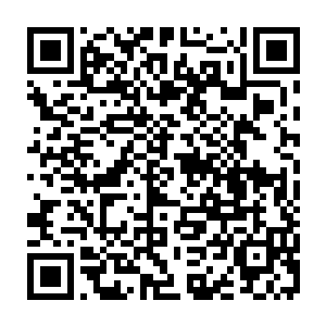 江帆所在的土位面区域基本上都知道了穿山遁地龙收服飞天八爪天网蛛的事情了二维码生成