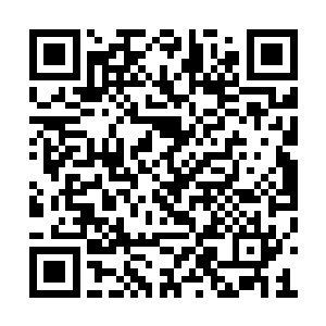 江帆是第一次施展五行元素法则的金尽人亡杀人二维码生成