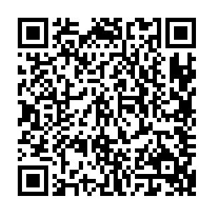 江帆清晰的感觉到里面的灵性能量在抵御着金色的鼎爆发出的能量入侵势头二维码生成