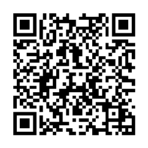 江帆的风之眼遥视便发现七八十里外黑压压的一片二维码生成