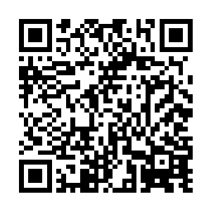 江帆看了看蒙不灭那副要哭的嘴脸只得强打精神道二维码生成