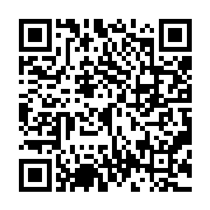江帆立刻将偷听到人形骷髅虫与李子豪的对话的事透露出来二维码生成