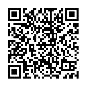 江帆立即回想当时攻击金甲蛮虫金闪闪的防御罩的前景二维码生成