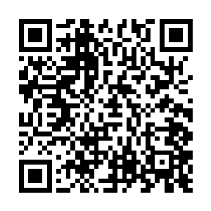 江帆见白赤可怜兮兮的样子于心不忍叹了口气提醒道二维码生成