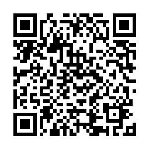 江渔却不知道自己的表现对全场观众造成了什么样的冲击二维码生成