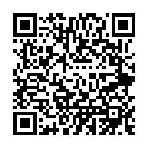 江老爷子今天一团和气的在宅子里和不断到来的贵客们说着话二维码生成