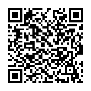 江芷微和阮玉书可以靠调动自身阳和协调之气抵御二维码生成