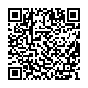 江迟聿知道她一定是被安然刚刚的死去给吓到了二维码生成